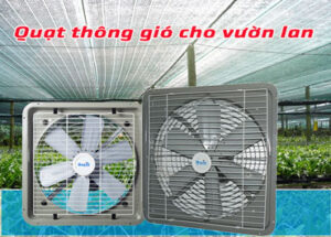 Quạt thông gió cho vườn lan