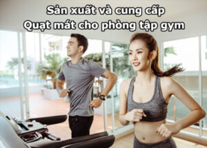 Quạt làm mát cho phòng tập gym