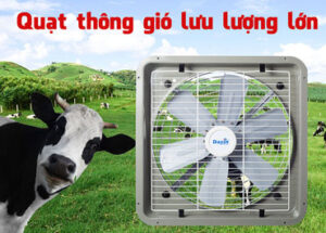 Quạt thông gió lưu lượng lớn