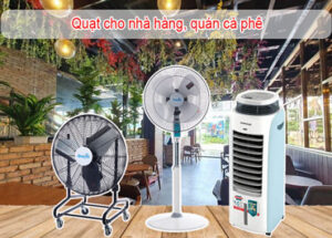 Quạt cho quán cà phê