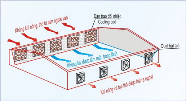 Quạt thông gió cho nhà mái tôn - Quạt công nghiệp Dasin mo-phong-lap-dat-quat-thong-gio-nha-xuong
