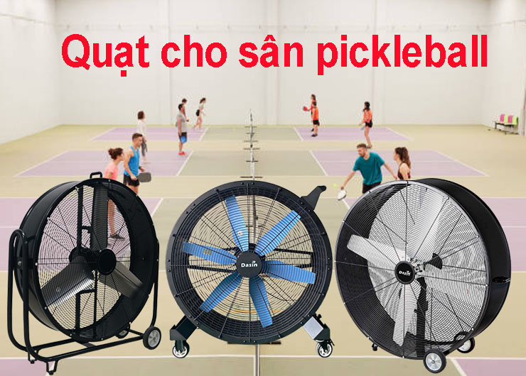 Quạt cho sân pickleball Dasin