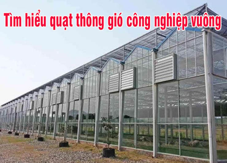 Tìm hiểu quạt thông gió công nghiệp vuông