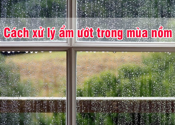cach xu ly am uot trong mua nom