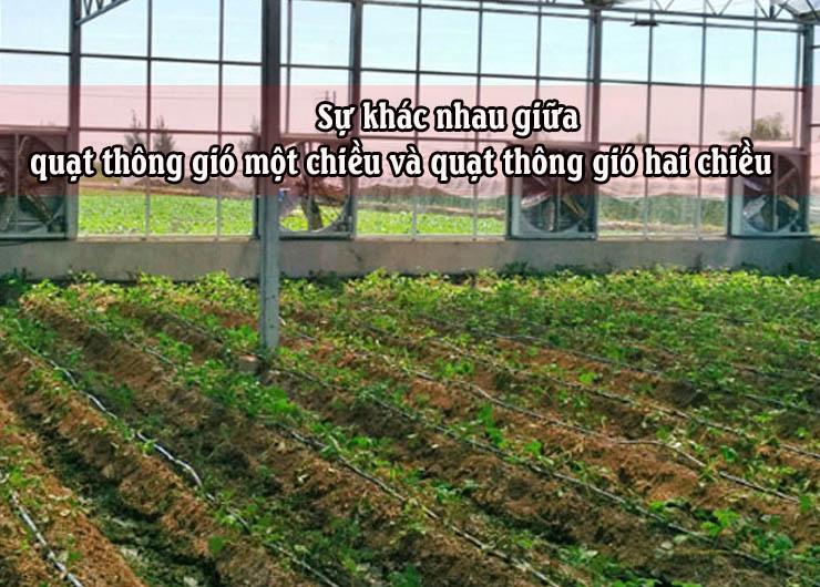 su khac nhau giua quat thong gio mot chieu va quat thong gio hai chieu